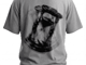 MOTION_image_1