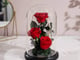 فازة ورد احمر محفوظ_image_0