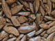 مروكي بيور (صيدة)_image_2