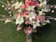 باقة ود _image_0