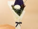 تارا_image_0