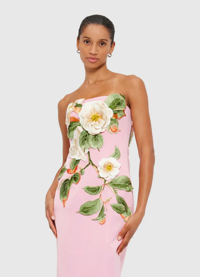 Rayna Appliqué Floral Bustier Maxi Dress - Camelia Print