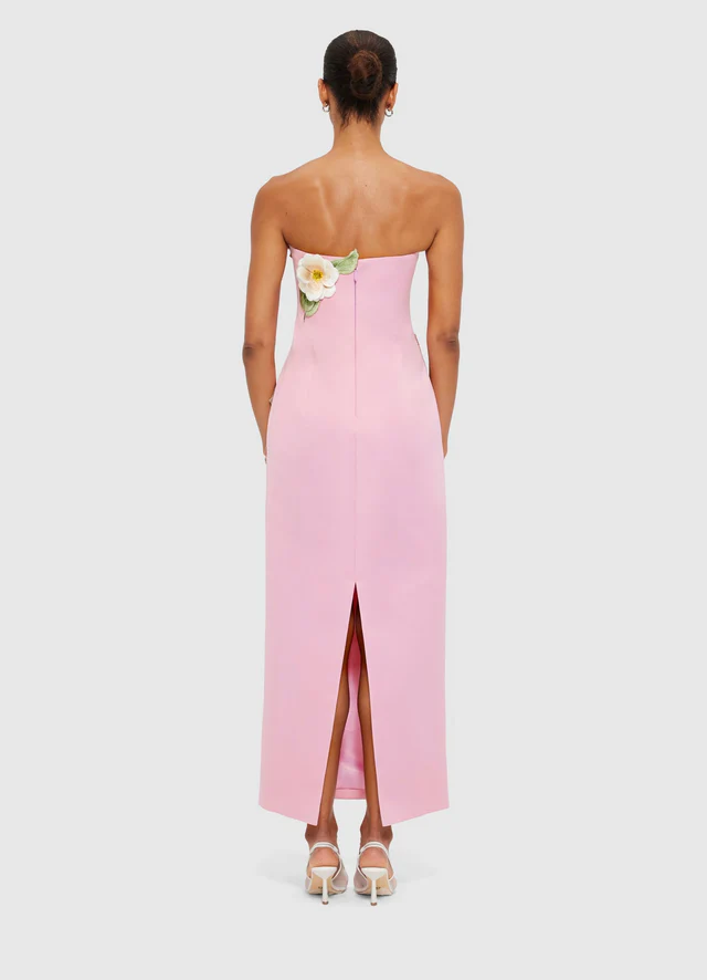 Rayna Appliqué Floral Bustier Maxi Dress - Camelia Print