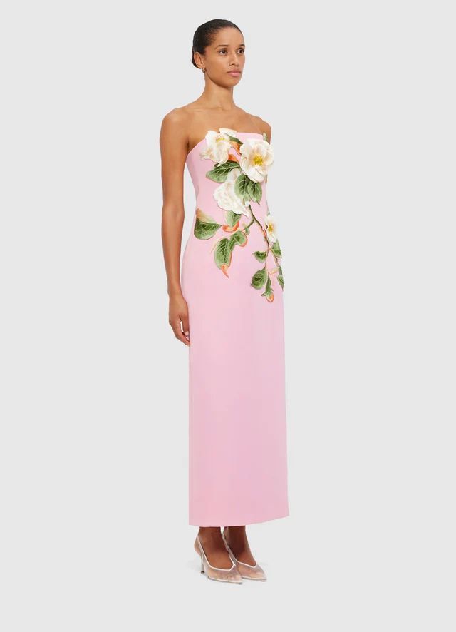 Rayna Appliqué Floral Bustier Maxi Dress - Camelia Print