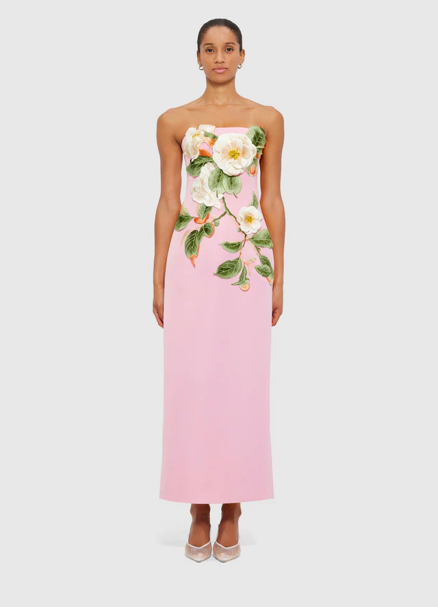 Rayna Appliqué Floral Bustier Maxi Dress - Camelia Print