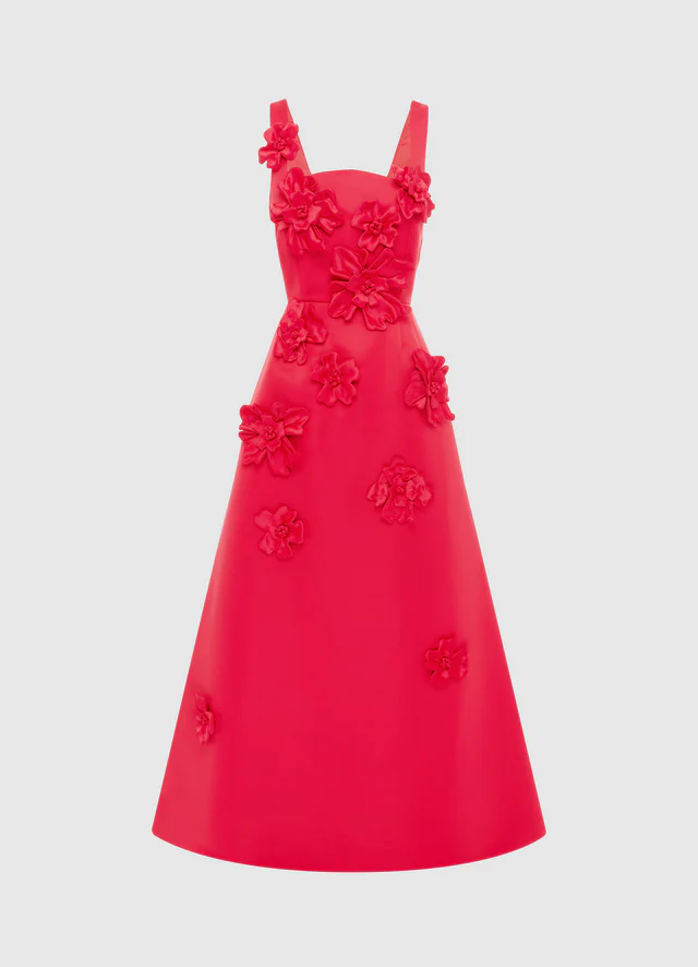 Rianne Floral Appliqué Maxi Dress - Rosa
