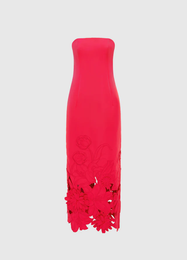 Appliqué Bustier Maxi Dress - Rosa
