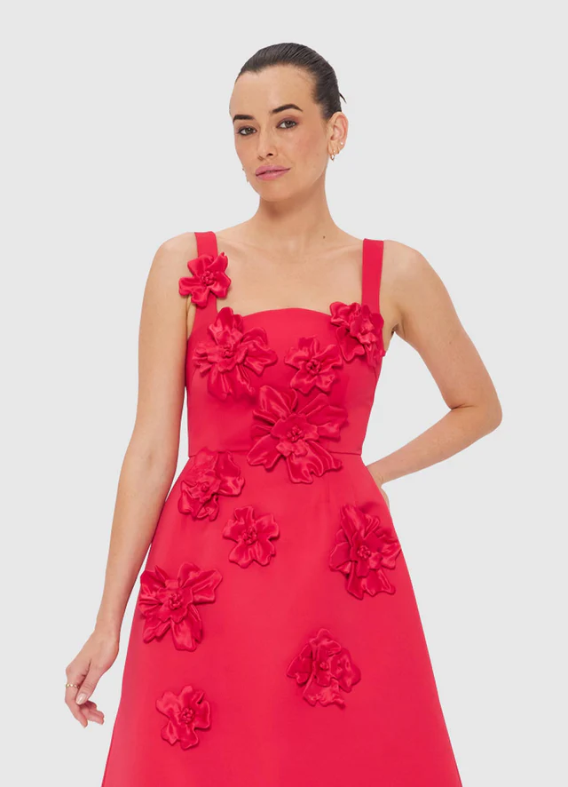 Rianne Floral Appliqué Maxi Dress - Rosa