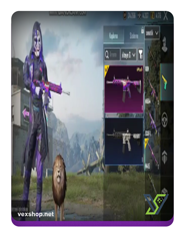  Buy PUBG Mobile Account 40 skin Star galaxy [Full Access] 