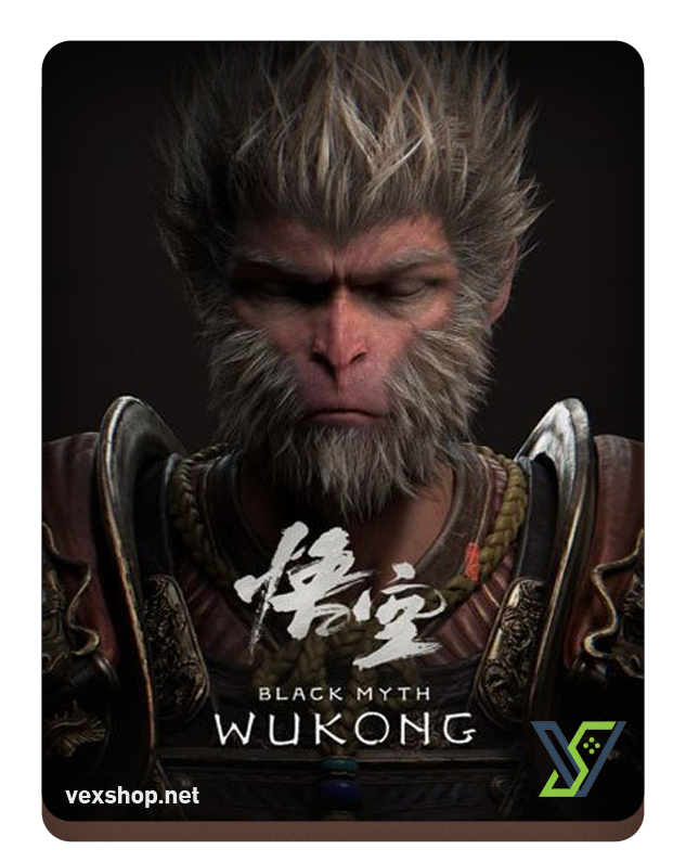  BLACK MYTH: WUKONG game for PC 