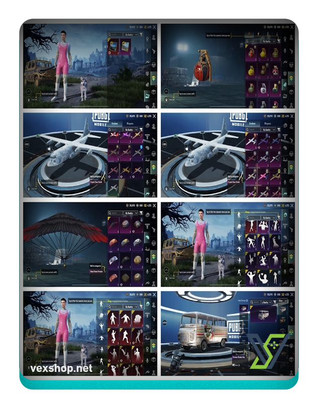  {