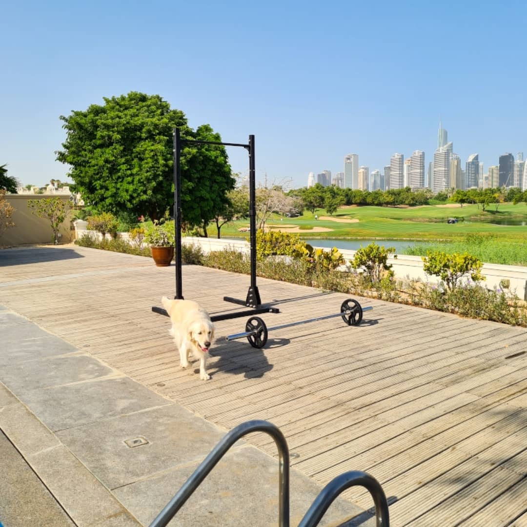 سكوات راك مع عقله
