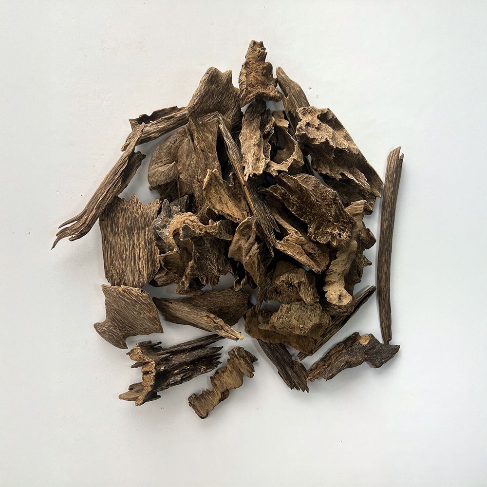 عود جنوب تايلند