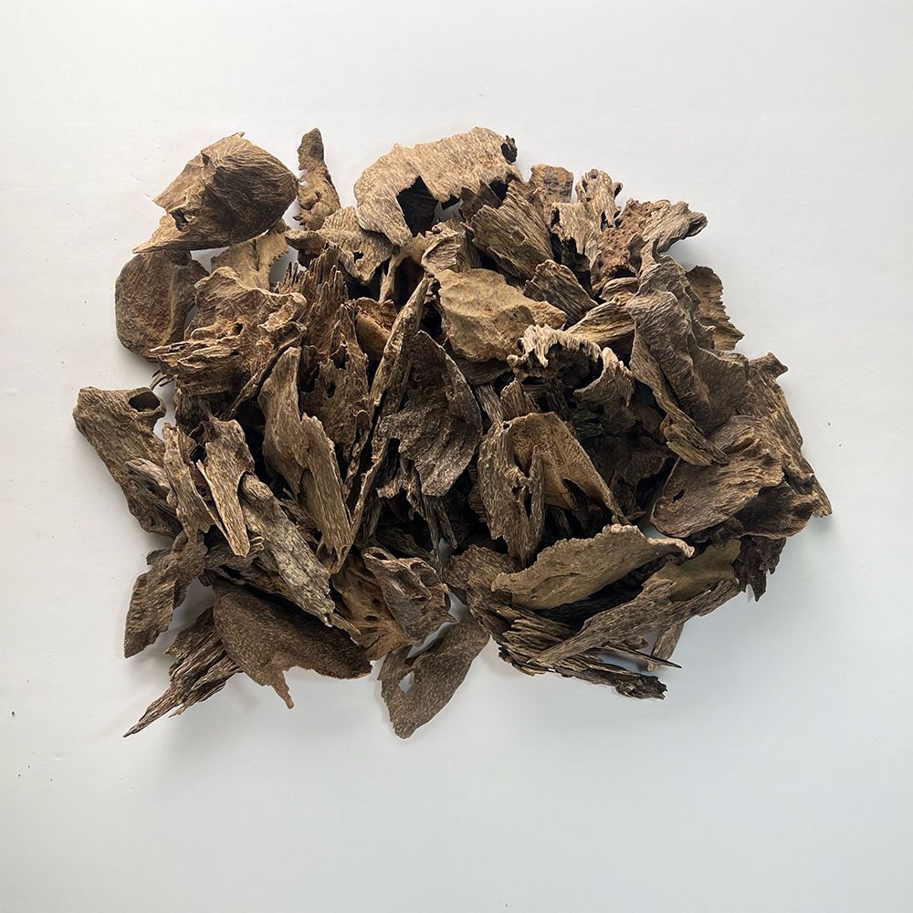 عود جنوب تايلند
