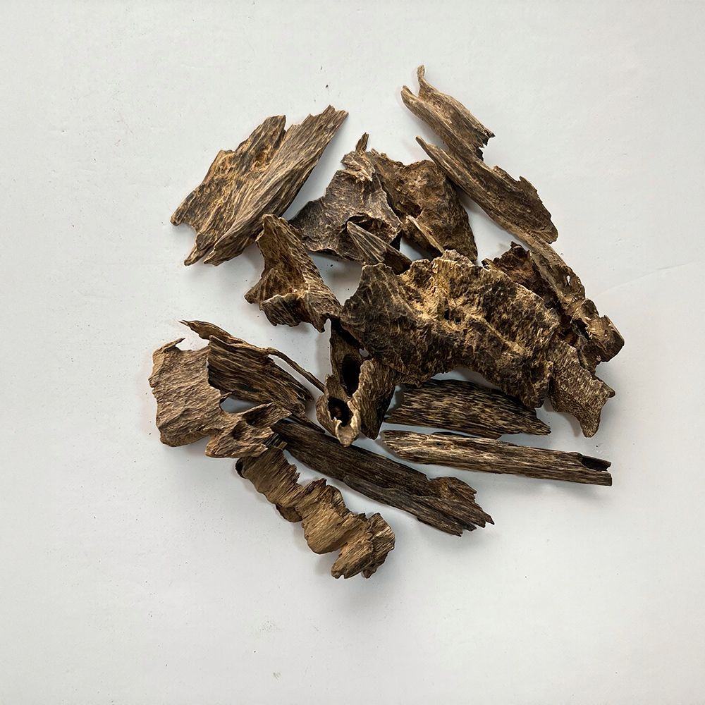 عود جنوب تايلند