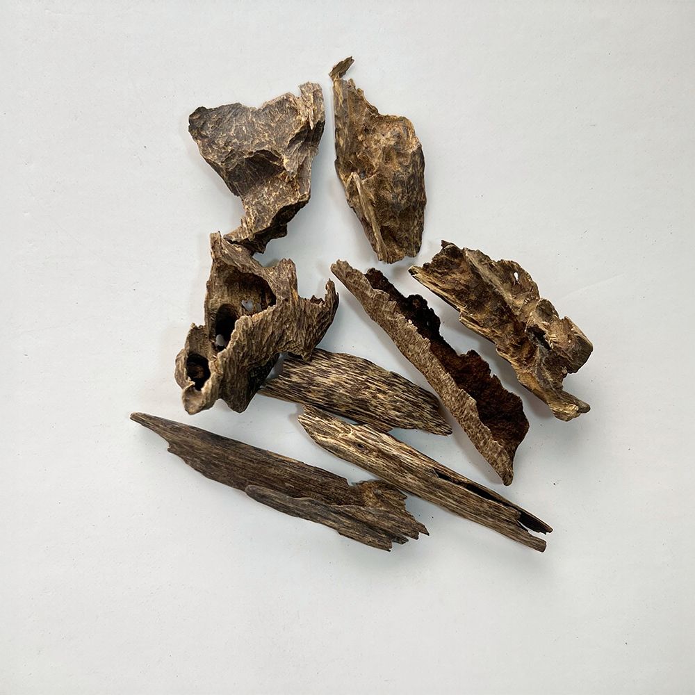 عود جنوب تايلند