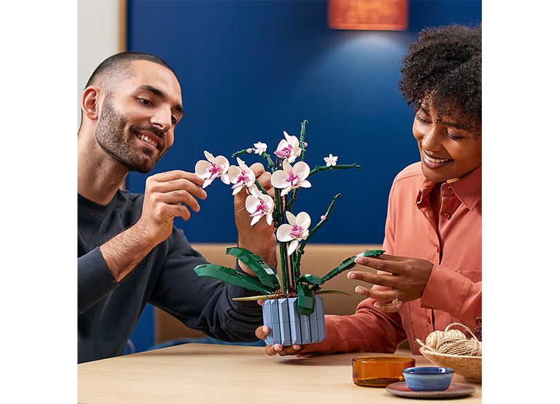 أفضل العاب ليقو الأوركيد - متجر مخشب