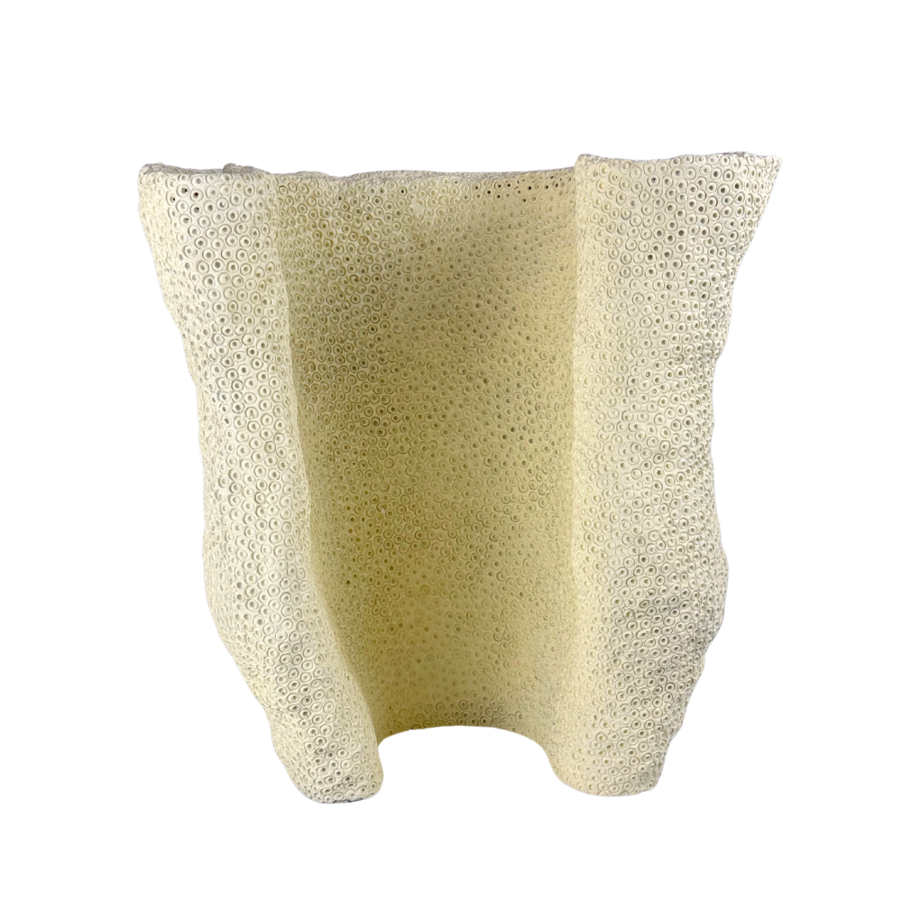 elegant vase