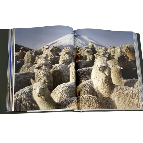 DECORATION BOOK