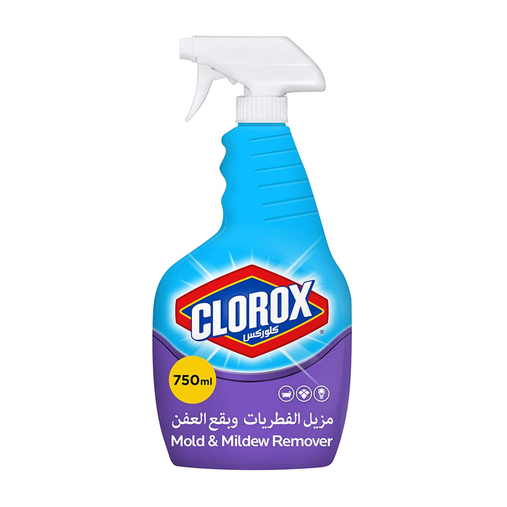  Clorox 