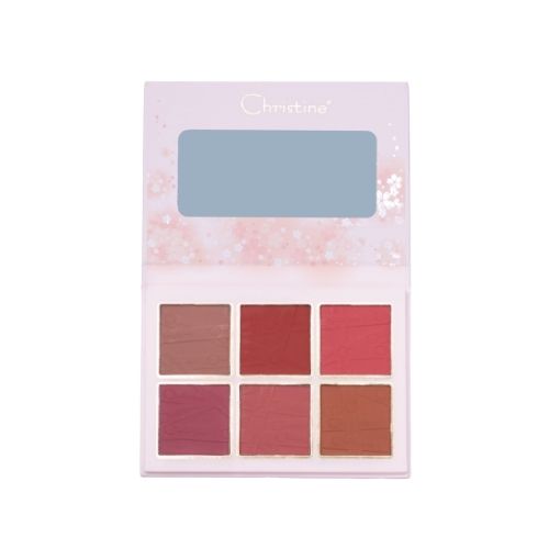  Christine CH-B2202 6-Color Blush Palette B 