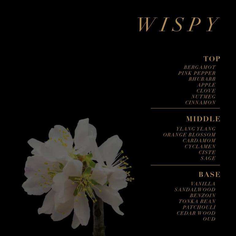 عطر نيش
