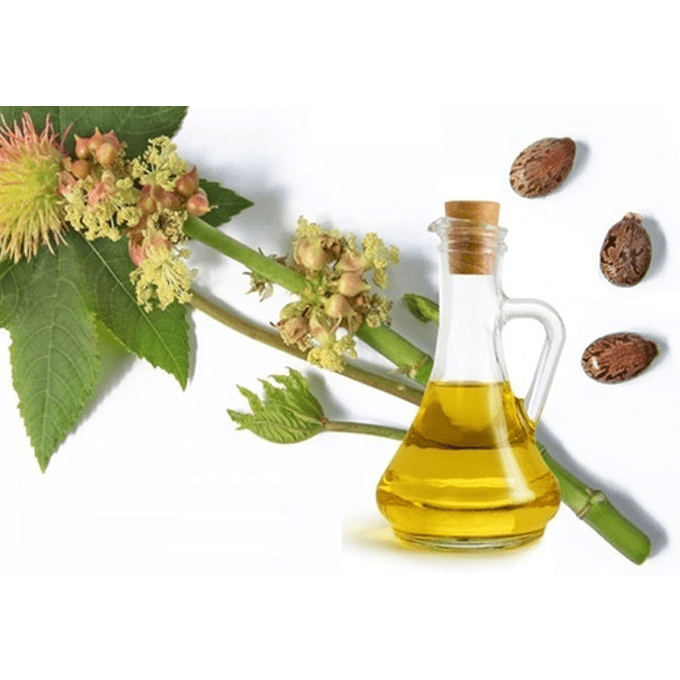  زيت الخروع من ناو - 473 مل 