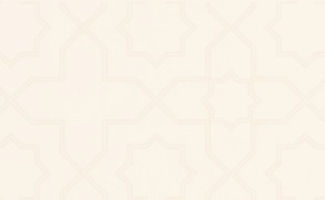 تأتي حقيبة 