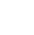 شحن خاص
