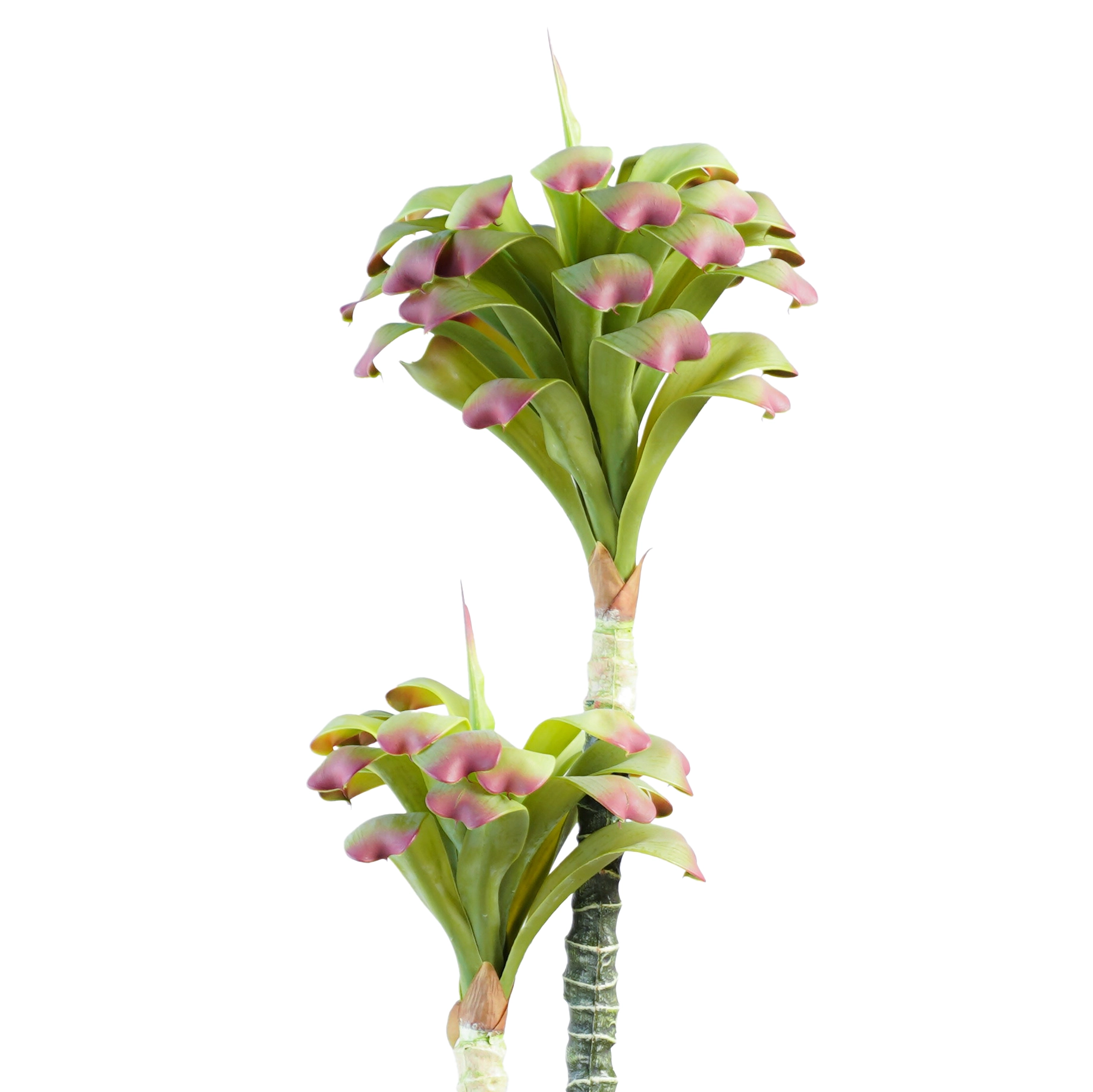  شجرة بروميلياد الصناعية 1 متر 