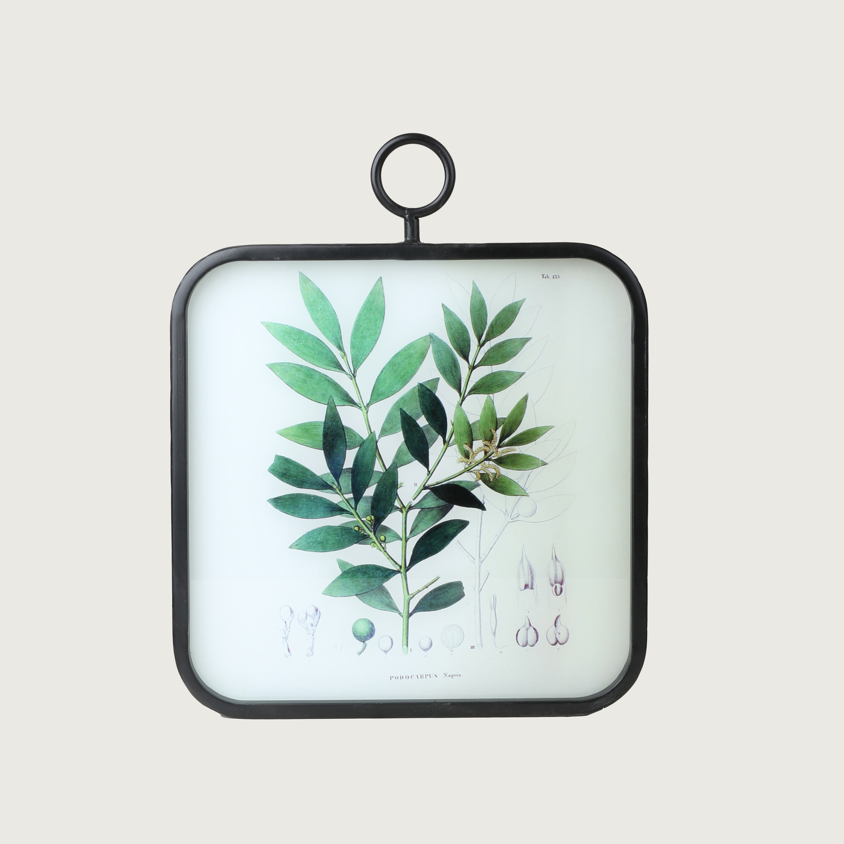  The Set of Wall Art Depicting Plants 