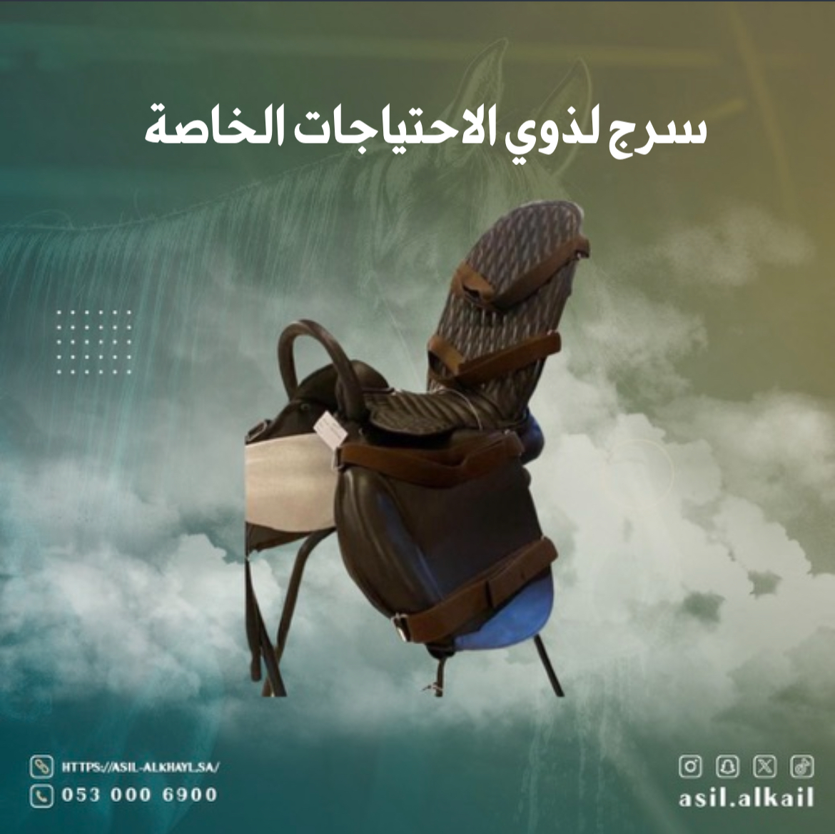 سرج ذوى الاحتياجات