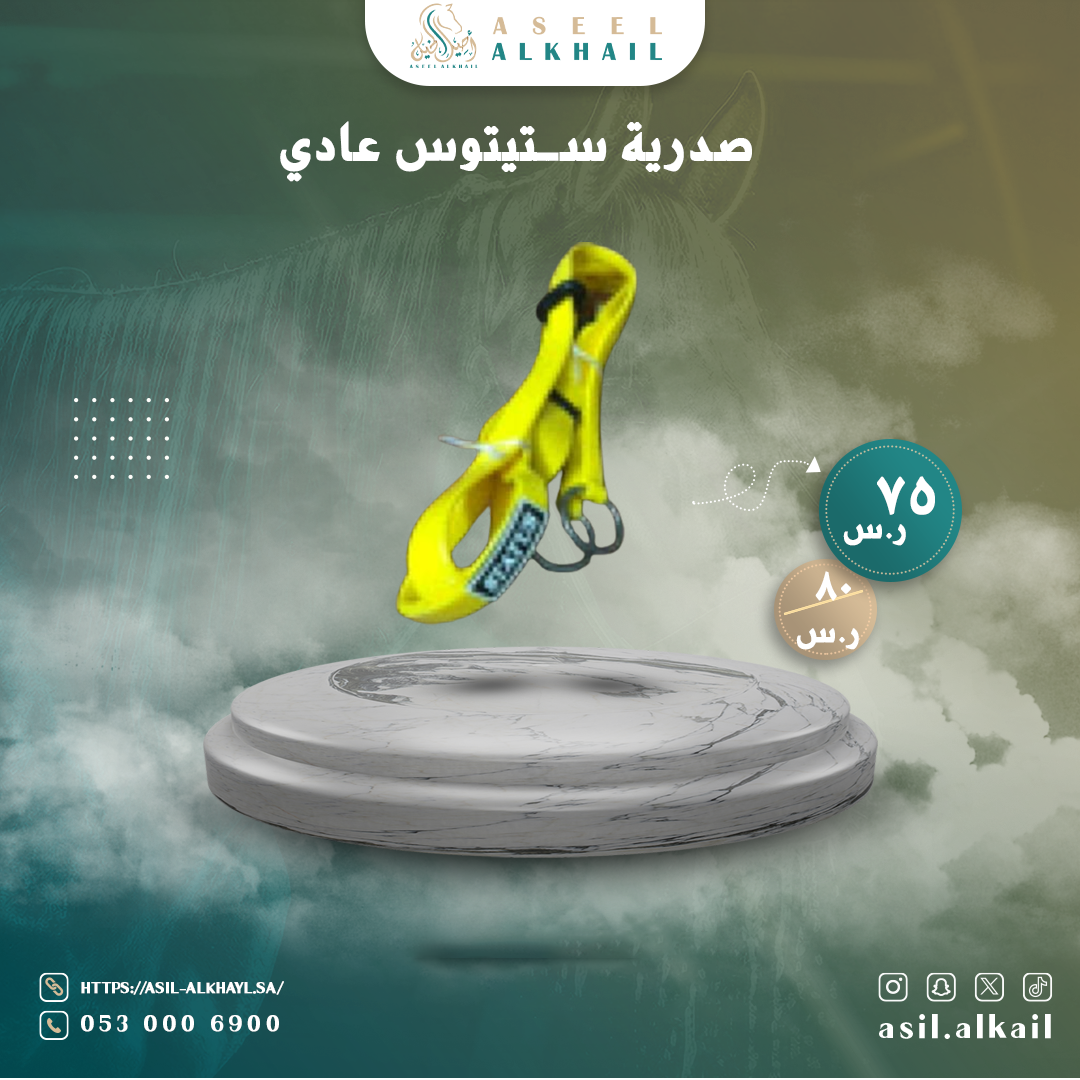 صدرية ستيتوس عادي صدريه خيل فاخرة | تسوق الان 