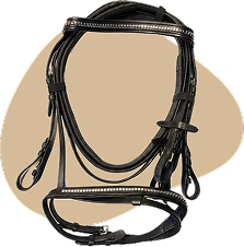 Halters & Accessories
