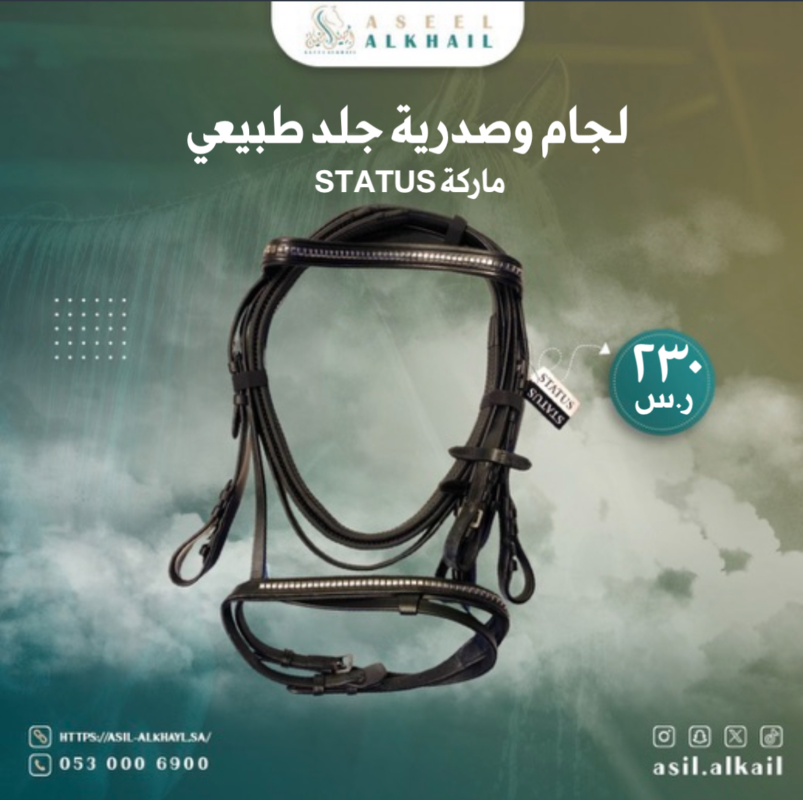 لجام جلد Status | قطعة فنية حقيقية تُضفي لمسة من الفخامة على حصانك