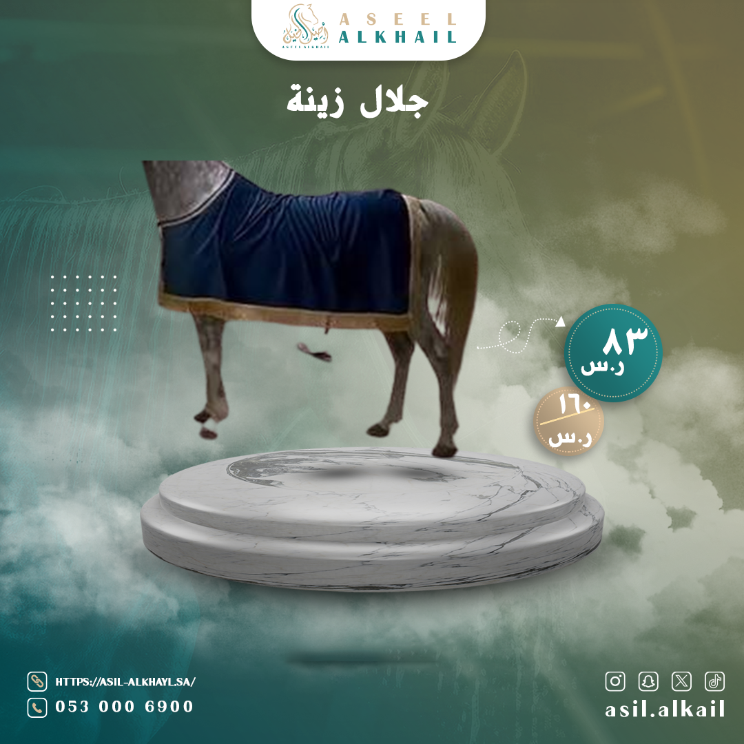 احصل الان على جلال خيل زينه مقاس ١٤٠ بأفضل الاسعار التنافسية