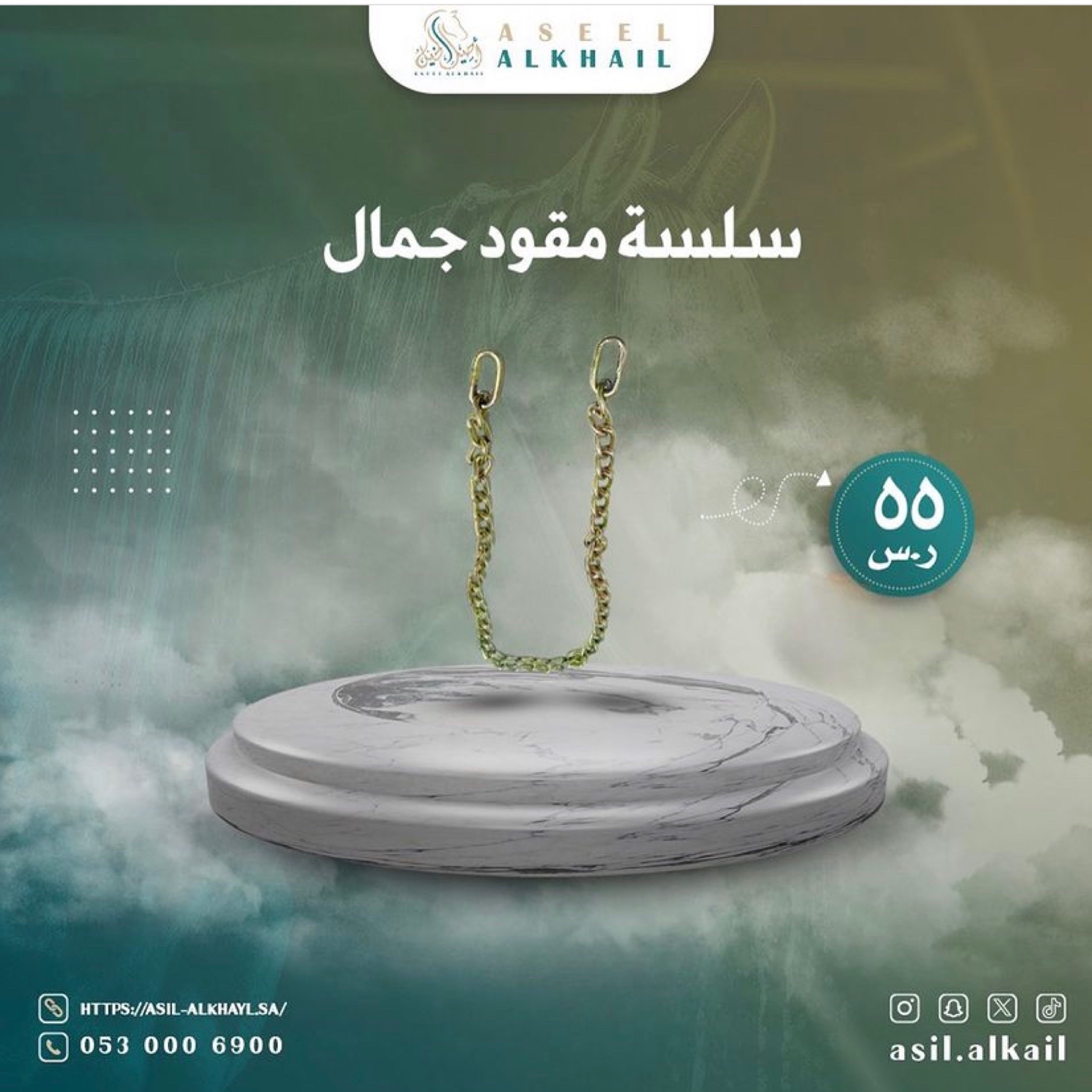 رشمة خيل سلسلة مصنوعة من مواد عالية الجودة  تسوق الان بأفضل الاسعار