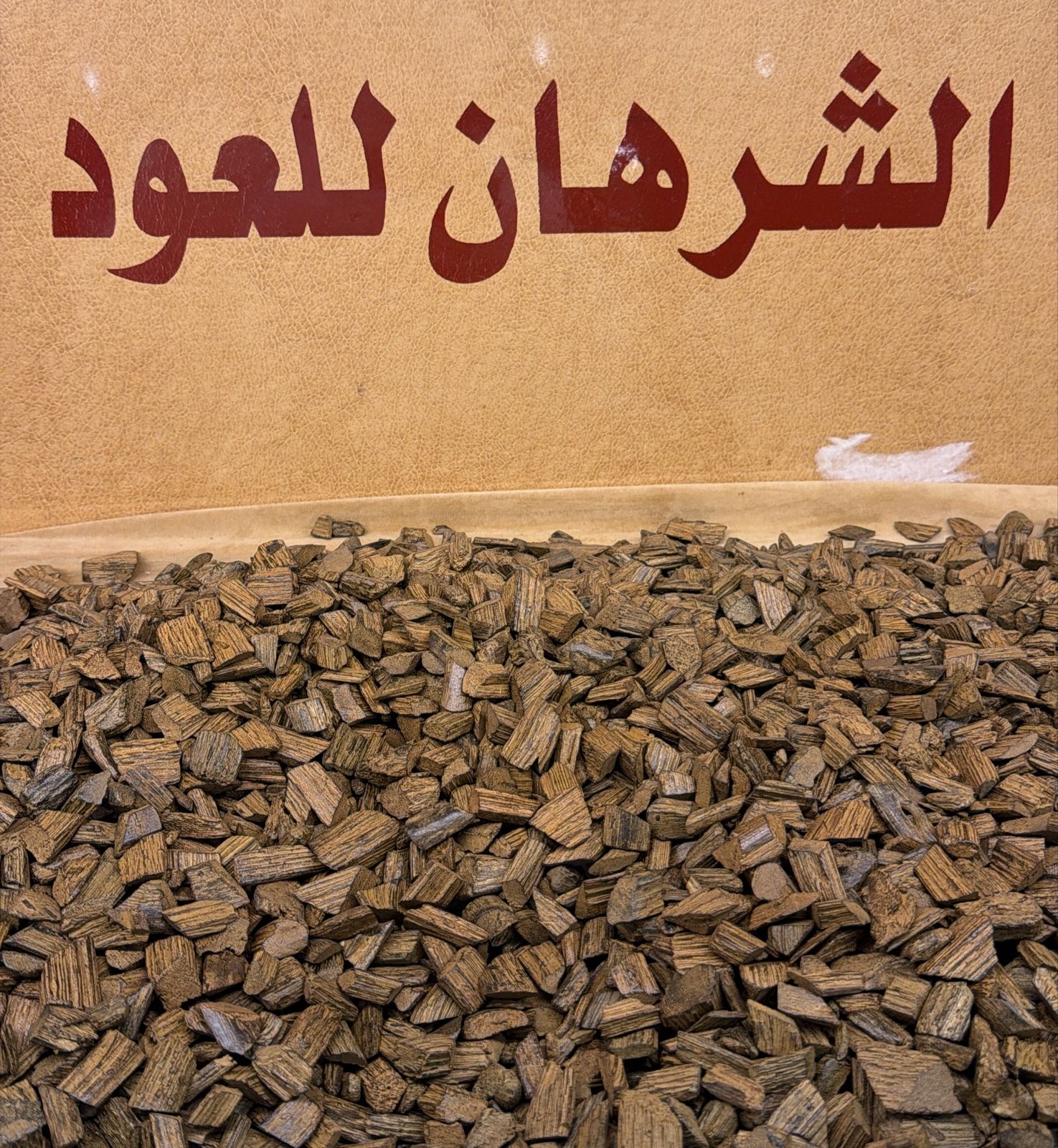 عود ميني بيور