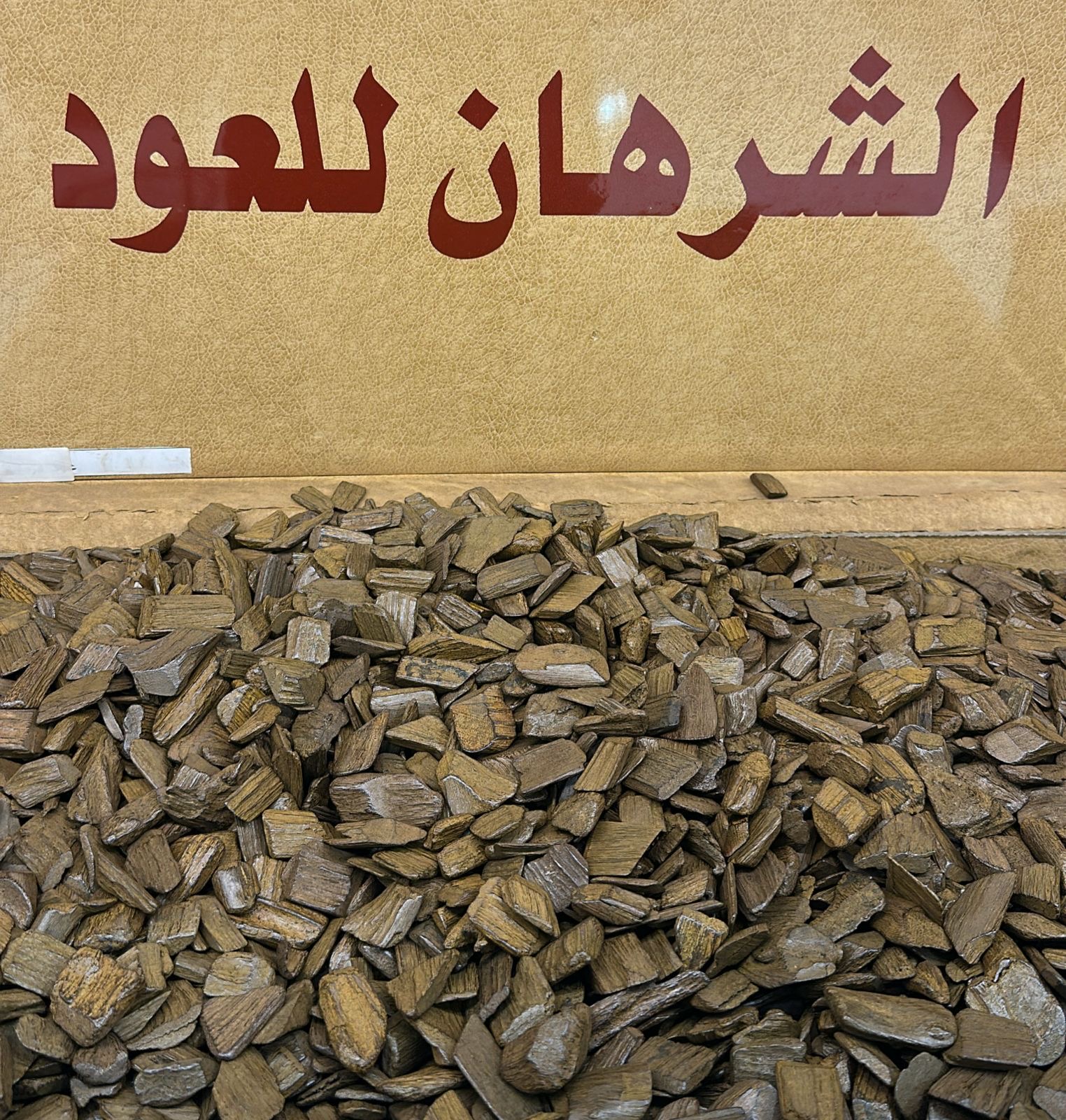 مروكي جذاب 