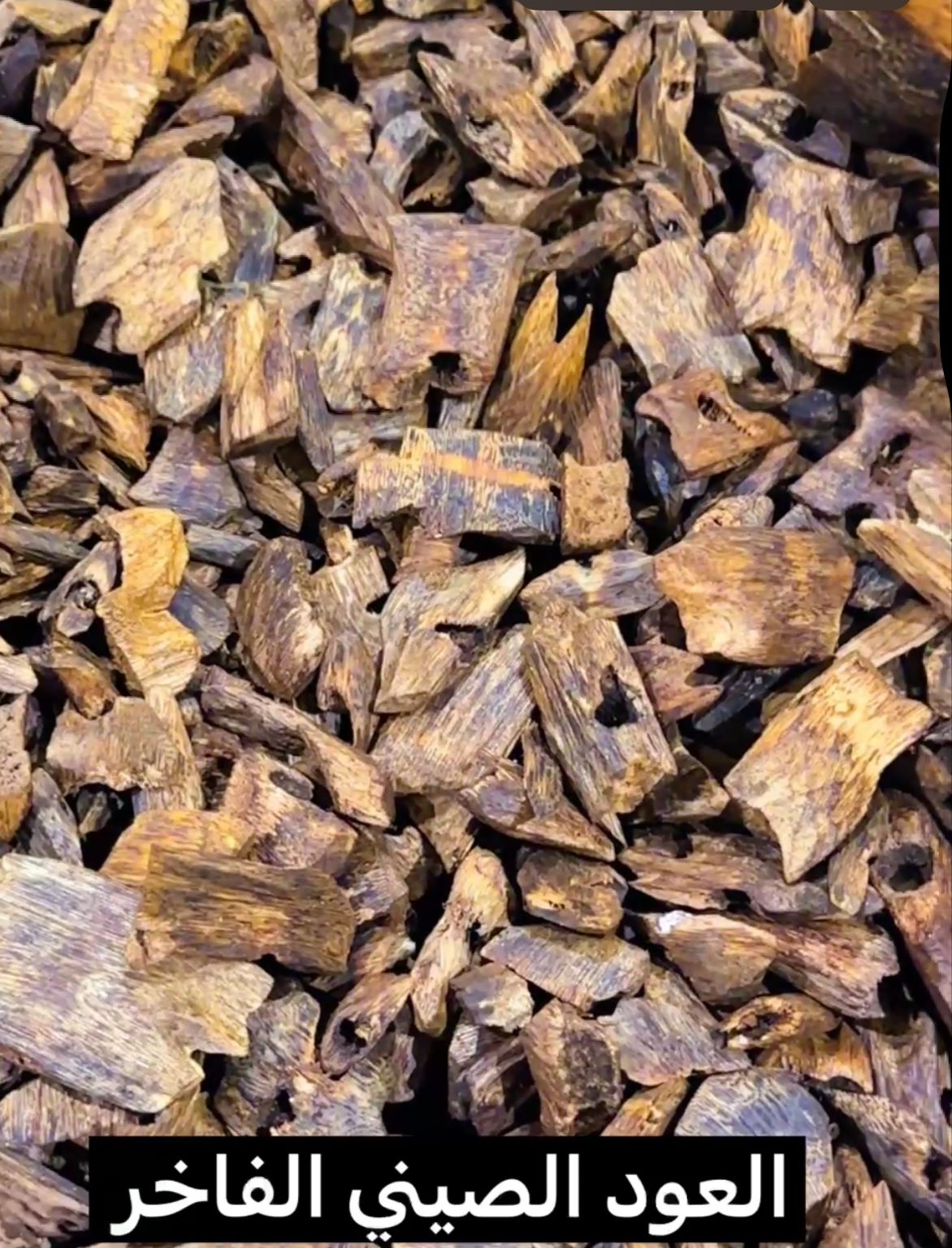 عود كينام سوبر  طبيعي