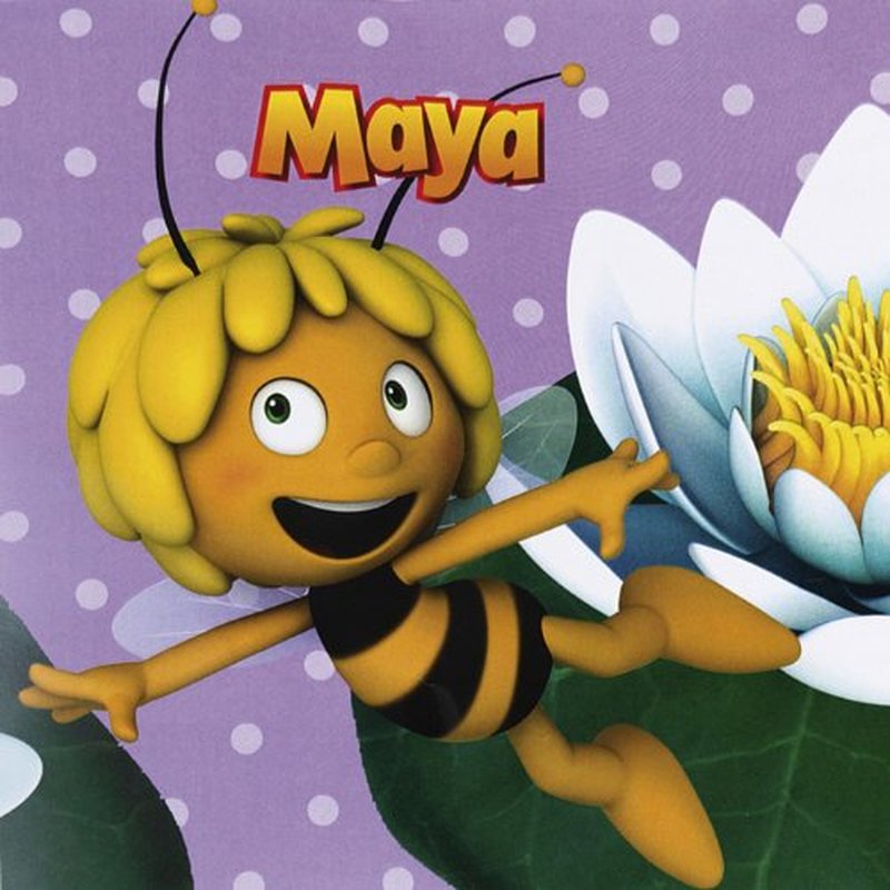 MAYA TISSUES 20 PCS