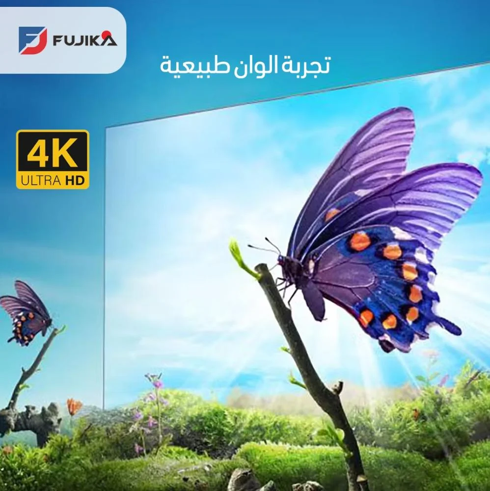  فوجيكا شاشة تلفزيون 65 بوصة سمارت - QLED 4K - أسود - FJ-65Q6 