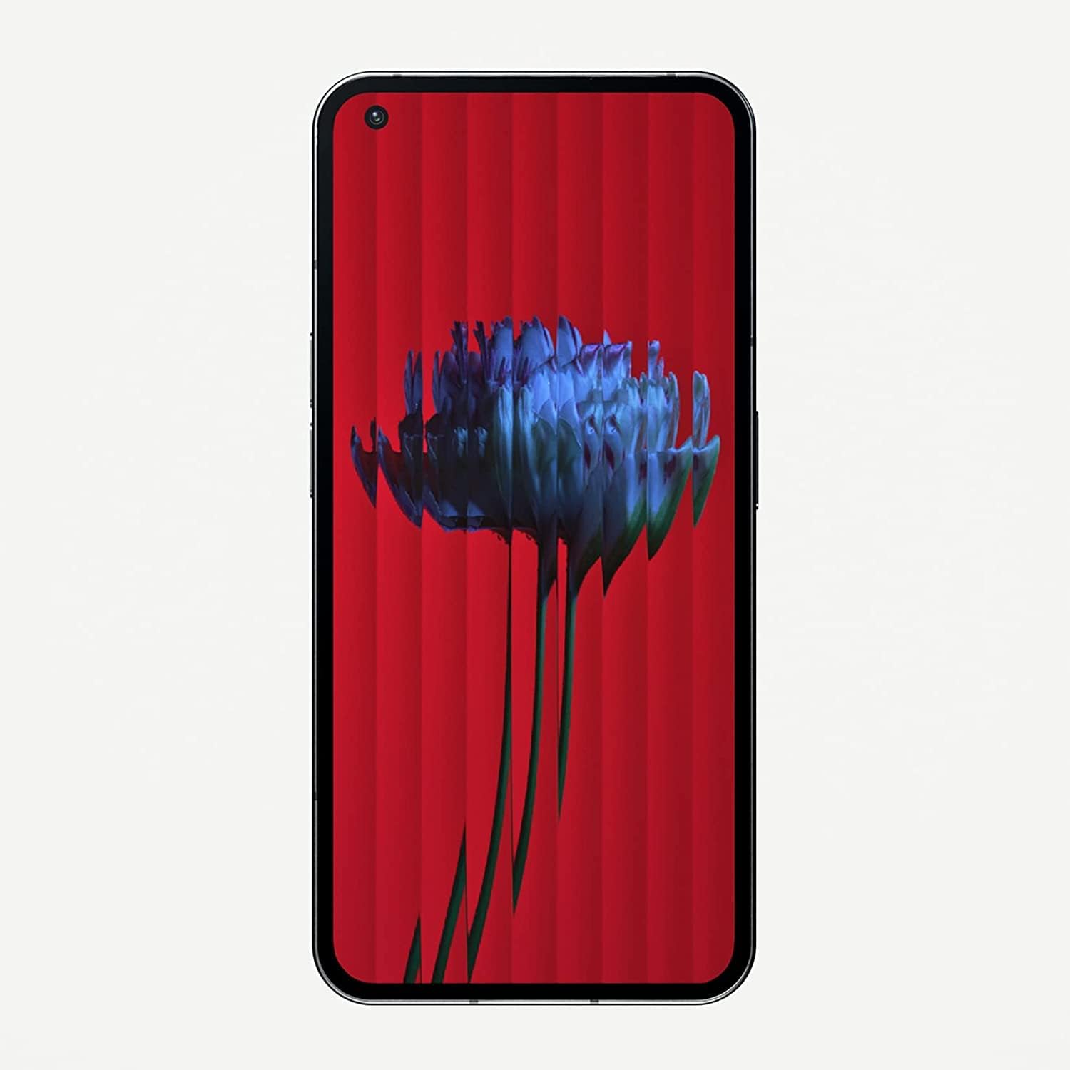  ذاكرة وصول عشوائيRAM 8 GB + 256 GB، واجهة جليف، كاميرا مزدوجة 50 ميجابيكسل، نوثينج او اس، 6.55 انش شاشة 120 Hz OLED من نوثينج فون (1)، اسود، لا شيء الهاتف (1),بشريحتين 