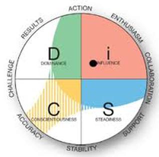 DiSC Everything Workplace