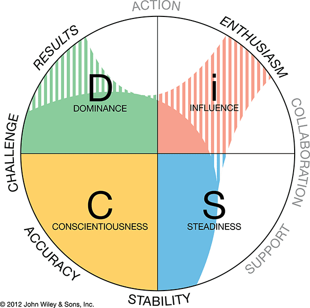 DiSC Everything Workplace