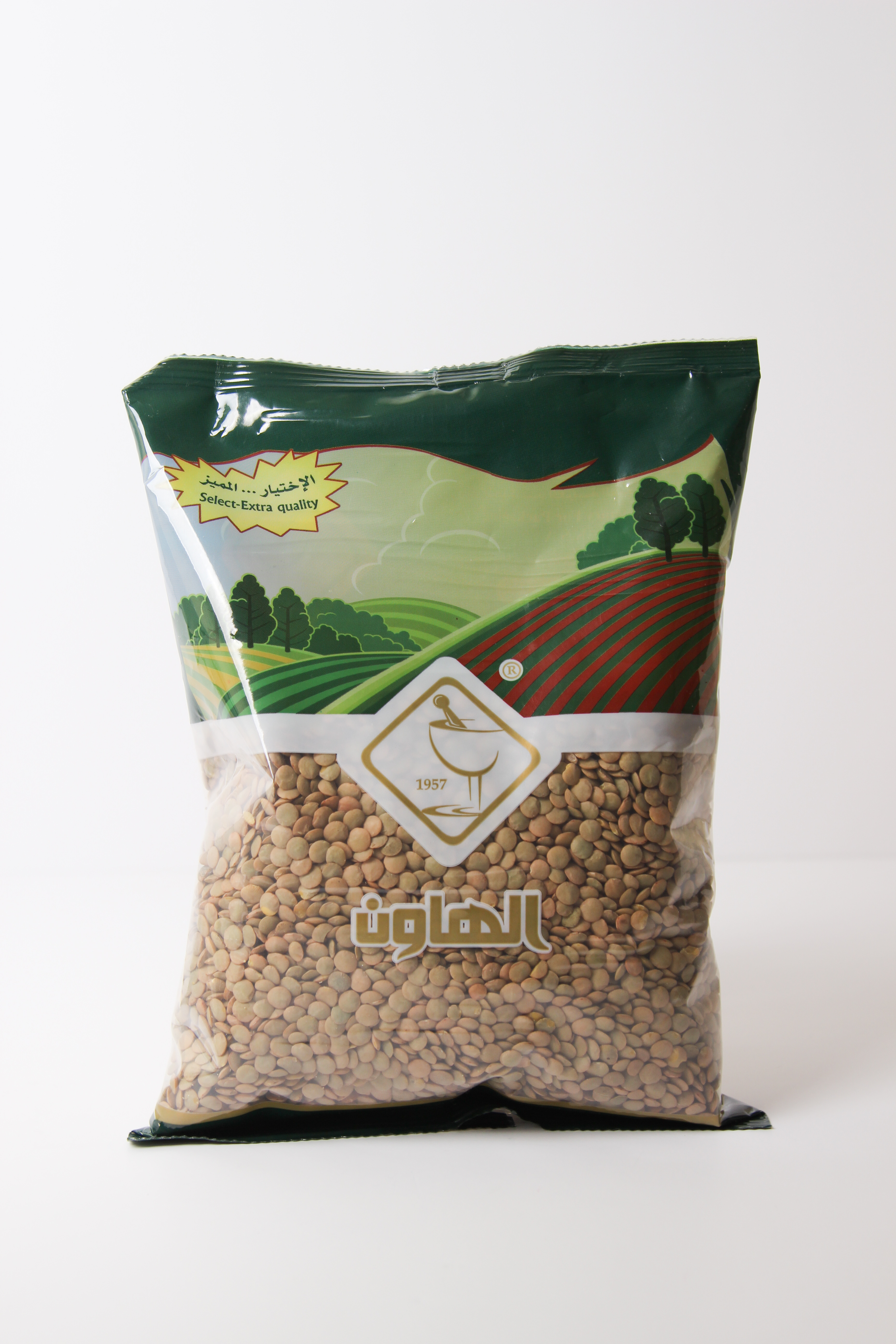 عدس اخضر