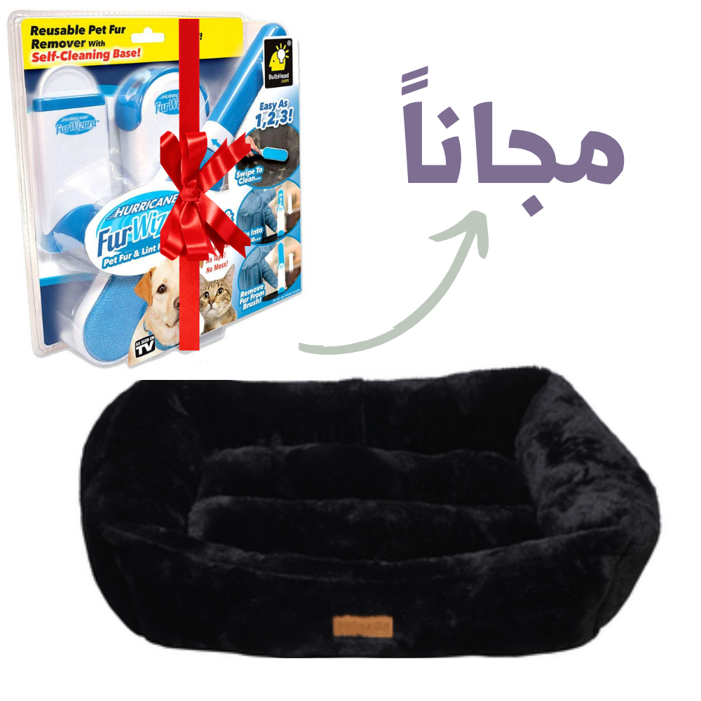 عروض ديسمبر 1