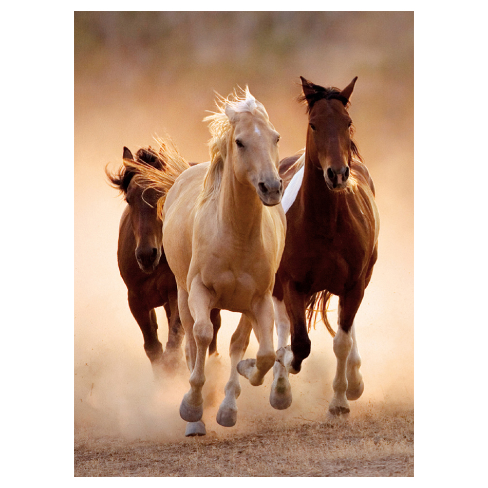 Clementoni Puzzle Horses - 1000 Pieces 39168
