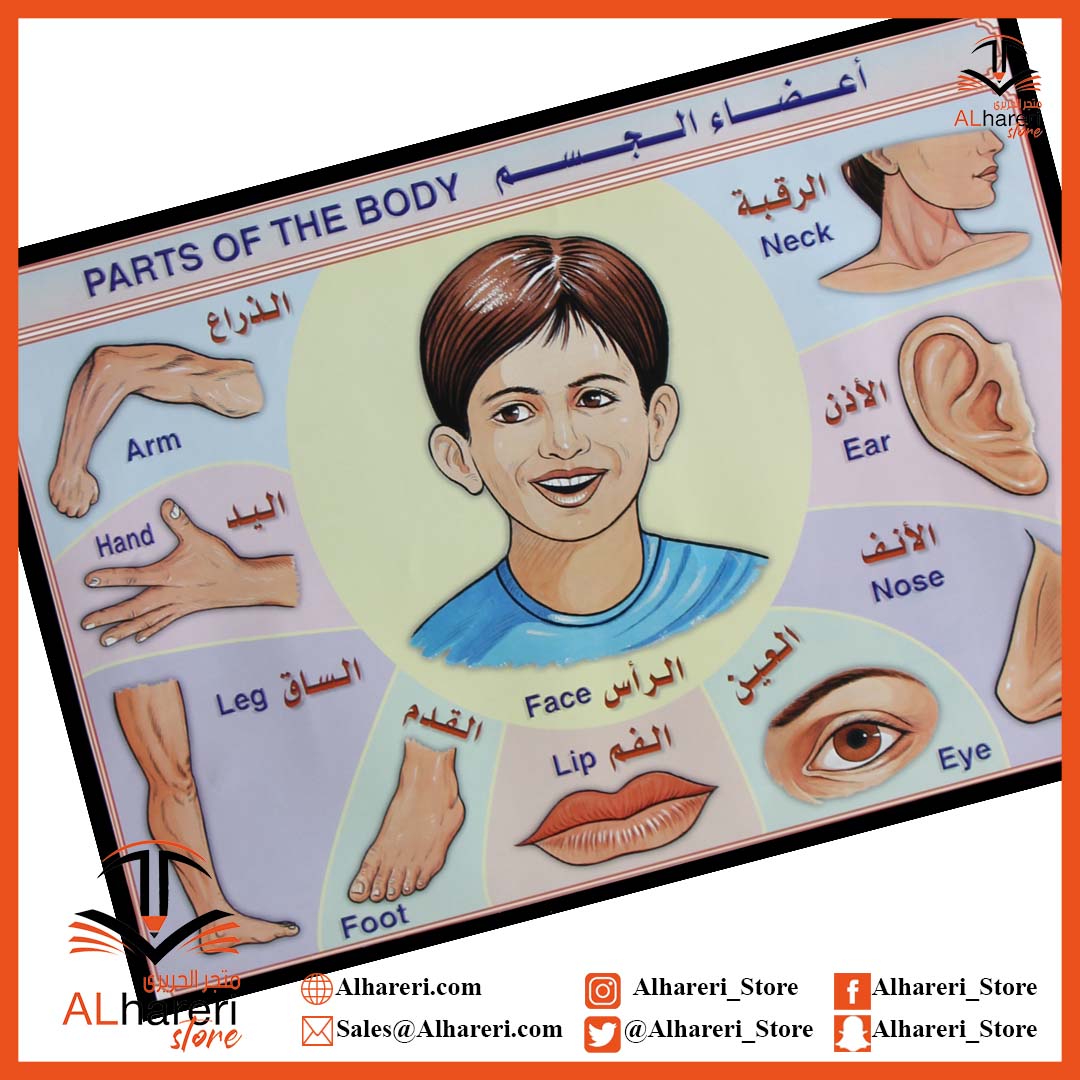 صورة وسيلة تعليمية اعضاء الجسم | متجر  الحريري