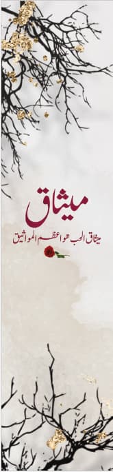 فاصل كتاب - رواية ميثاق